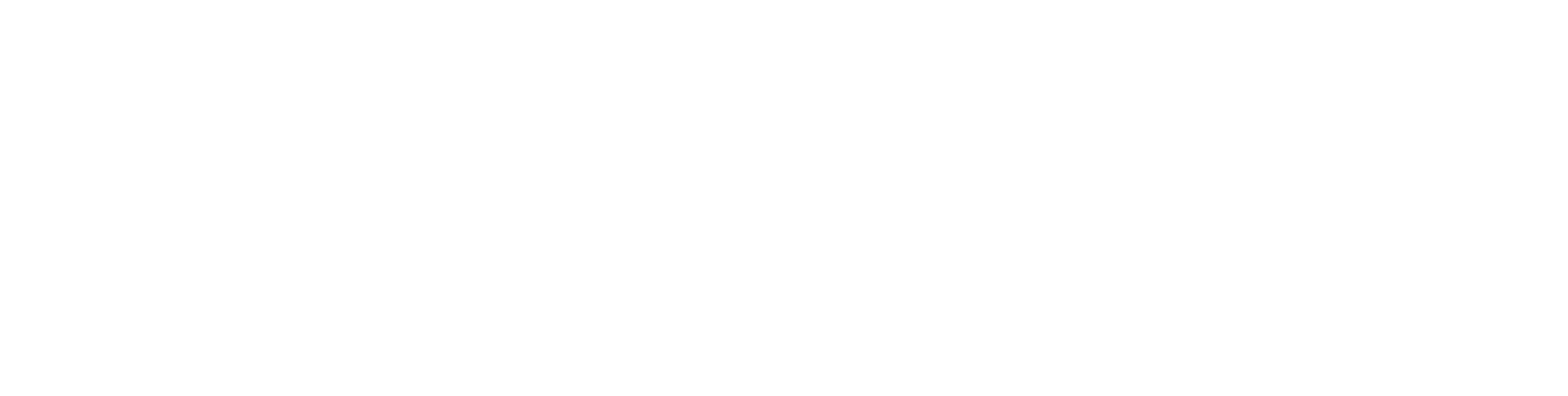 IPSO Sécurité