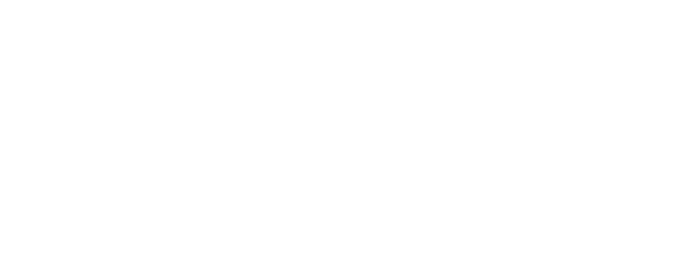 IPSO Sécurité